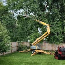 Best Artificial Turf Installation  in Edinboro, PA