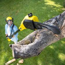 Best Commercial Tree Services  in Edinboro, PA
