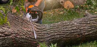 Lawn Watering Services in Edinboro, PA