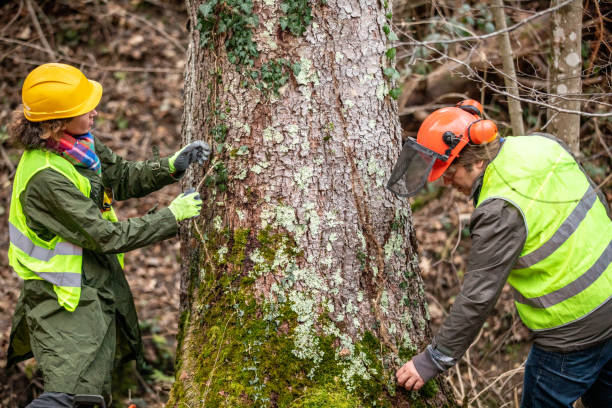 Best Seasonal Cleanup (Spring/Fall)  in Edinboro, PA